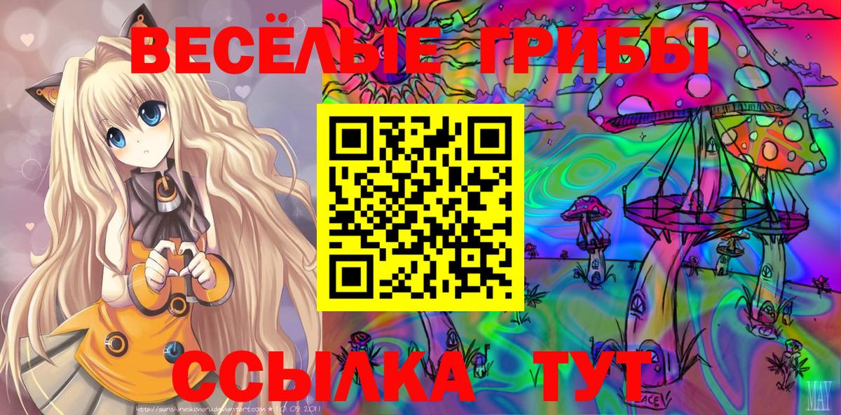 купить наркотик  Псилоцибиновые грибы GOLDEN TEACHER  Вход с VPN  Мелеуз 