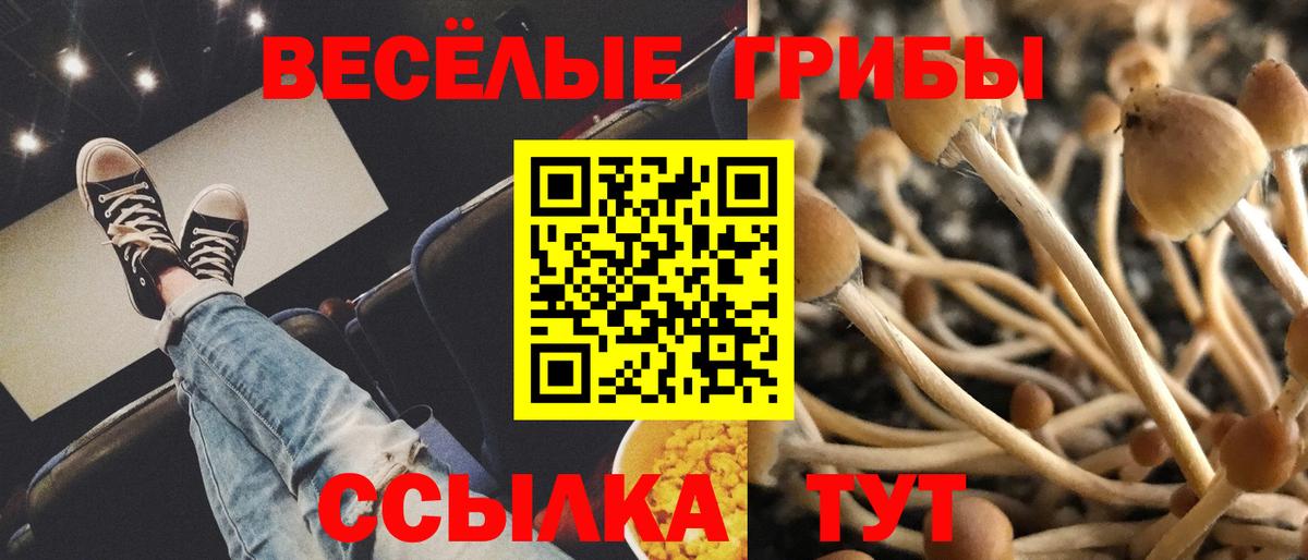 Псилоцибиновые грибы Psilocybine cubensis Мелеуз